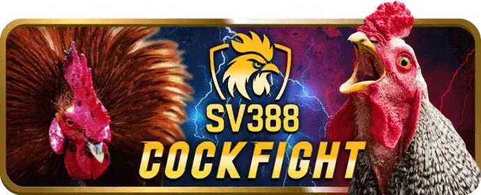 Chiến thuật chơi Game Bài Tiến Lên Miền Nam hiệu quả tại Win VN